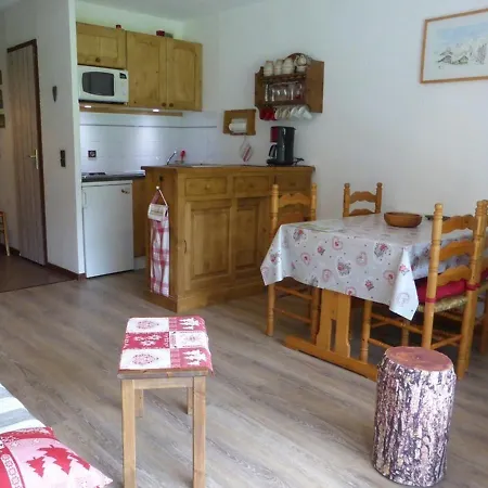 Apartment 2/4 Pers A 200m Des Pistes, Balcon Sud, Animaux Admis - Fr-1-342-148